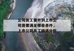 公司员工晋升到上市公司需要满足哪些条件，上市公司员工待遇分析