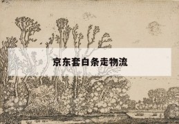 京东套白条走物流