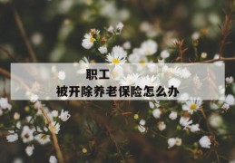 
       职工被开除养老保险怎么办
     