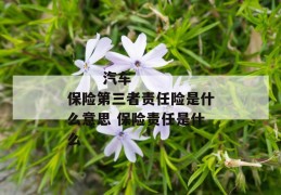 
       汽车保险第三者责任险是什么意思 保险责任是什么
     