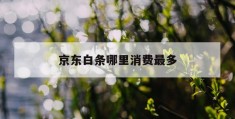 京东白条哪里消费最多