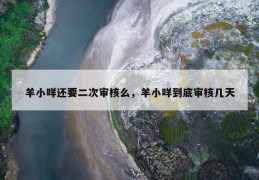 羊小咩还要二次审核么，羊小咩到底审核几天