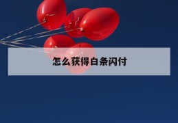 怎么获得白条闪付