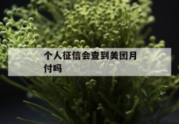 个人征信会查到美团月付吗