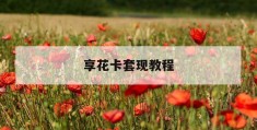 享花卡套现教程