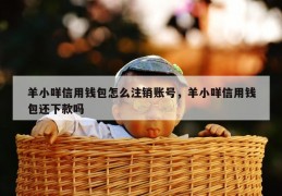 羊小咩信用钱包怎么注销账号，羊小咩信用钱包还下款吗