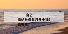 
       自己缴纳社保每月多少钱？去哪交？
     