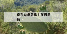 京东白条免息劵在哪里领