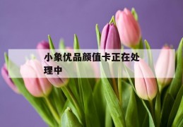 小象优品颜值卡正在处理中