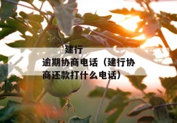 
       建行逾期协商电话（建行协商还款打什么电话）
     