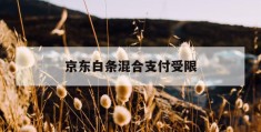 京东白条混合支付受限