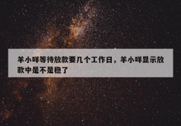 羊小咩等待放款要几个工作日，羊小咩显示放款中是不是稳了