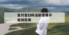 支付宝扫码当前交易不支持花呗