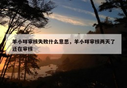 羊小咩审核失败什么意思，羊小咩审核两天了还在审核