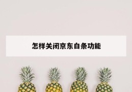 怎样关闭京东白条功能