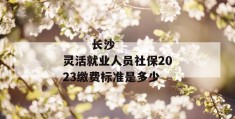 
       长沙灵活就业人员社保2023缴费标准是多少
     