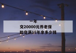 
       一年交20000元养老保险交满15年拿多少钱
     