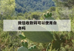 微信收款码可以使用白条吗