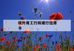 境外用工行和建行信用卡