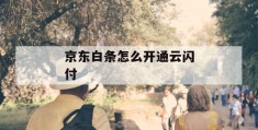 京东白条怎么开通云闪付