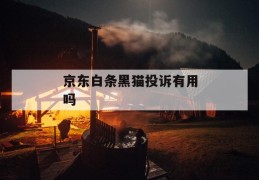 京东白条黑猫投诉有用吗