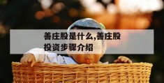 善庄股是什么,善庄股投资步骤介绍