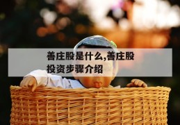 善庄股是什么,善庄股投资步骤介绍