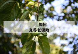 
       如何交养老保险
     