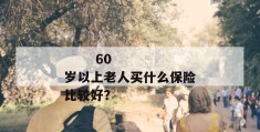 
       60岁以上老人买什么保险比较好？
     