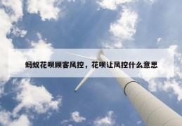 蚂蚁花呗顾客风控，花呗让风控什么意思