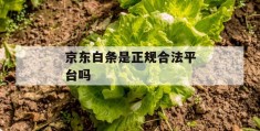 京东白条是正规合法平台吗