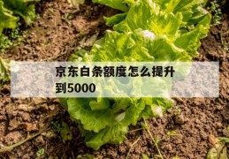 京东白条额度怎么提升到5000