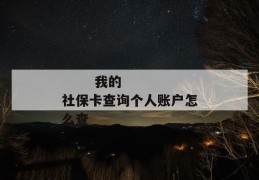 
       我的社保卡查询个人账户怎么查
     