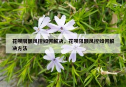 花呗限额风控如何解决，花呗限额风控如何解决方法