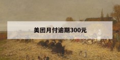 美团月付逾期300元