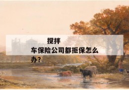 
       搅拌车保险公司都拒保怎么办？
     