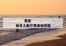 
       贵阳新生儿医疗费用如何报销
     