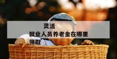 
       灵活就业人员养老金在哪里领取
     