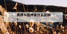 质押与抵押有什么区别？