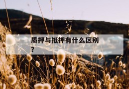 质押与抵押有什么区别？