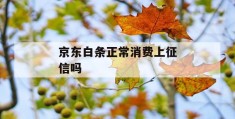 京东白条正常消费上征信吗