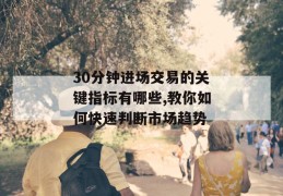 30分钟进场交易的关键指标有哪些,教你如何快速判断市场趋势