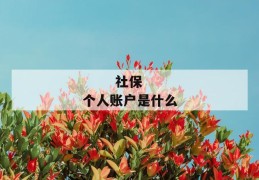 
       社保个人账户是什么
     