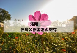 
       洛阳住房公积金怎么缴存
     