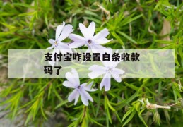 支付宝咋设置白条收款码了