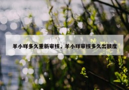 羊小咩多久重新审核，羊小咩审核多久出额度