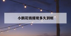 小鹅花钱提现多久到帐