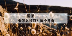 
       医保卡怎么领取？每个月有多少钱？
     