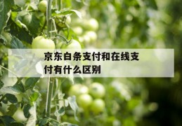 京东白条支付和在线支付有什么区别