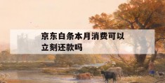 京东白条本月消费可以立刻还款吗